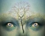 17079232-beautiful-artistic-fantasy-background-representing-a-two-human-eyes-and-a-tree